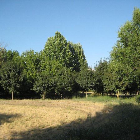 Appartamento La Casa Di Emy Roma Esterno foto