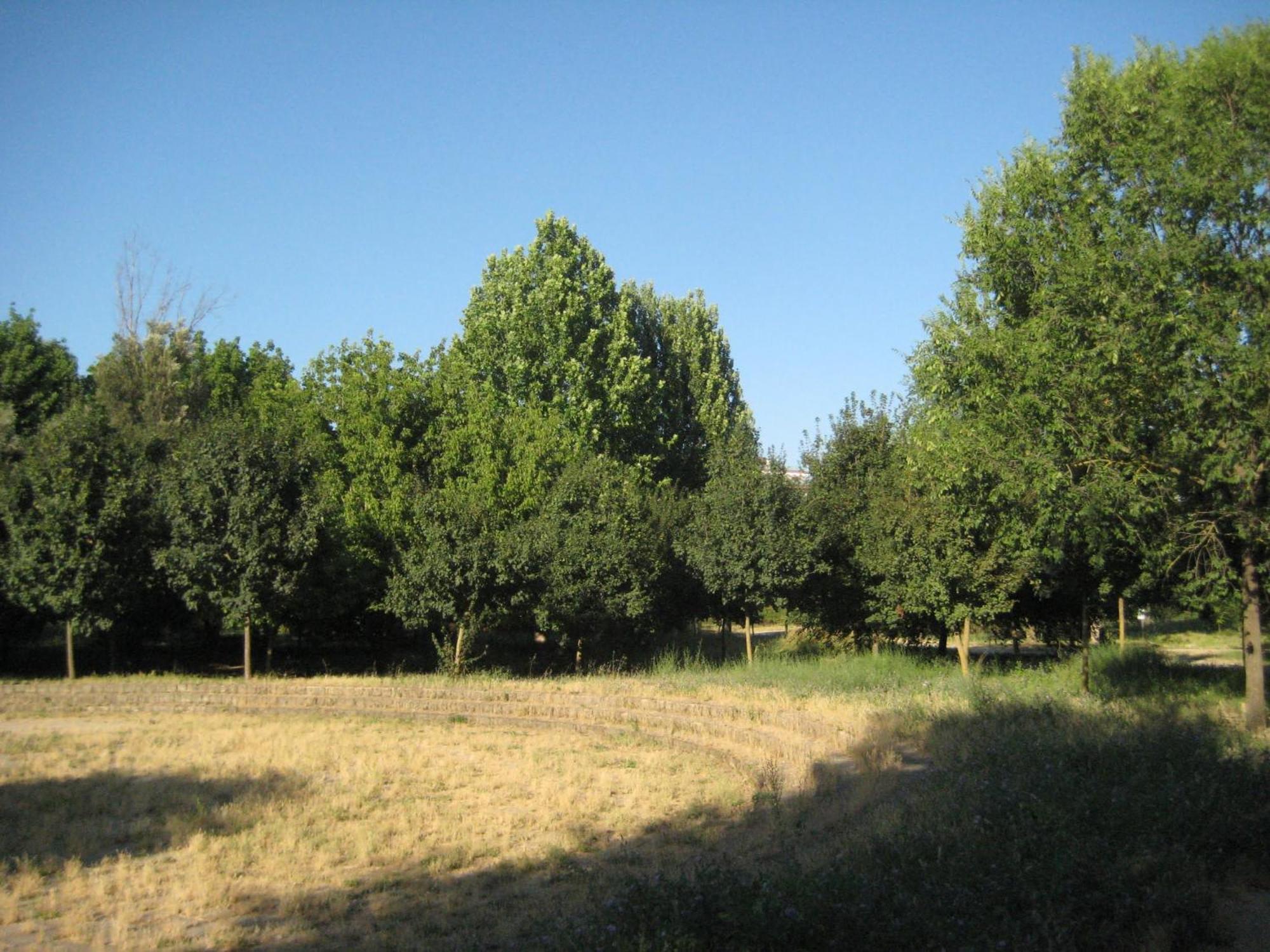 Appartamento La Casa Di Emy Roma Esterno foto