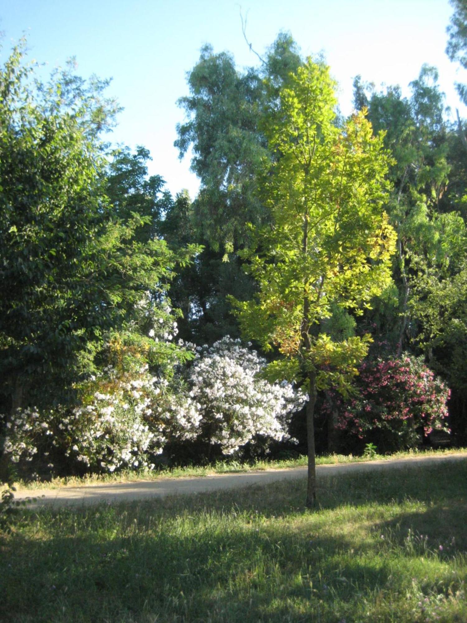 Appartamento La Casa Di Emy Roma Esterno foto